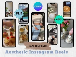 Aesthetic Instagram Reels PLR MRR