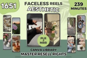 Aesthetic-Instagram-Reels-PLR-MRR-Videos-Graphics-102225363-1-1-580x387 Aesthetic Instagram Reels PLR MRR Videos