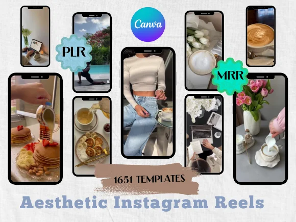 Aesthetic Instagram Reels PLR MRR